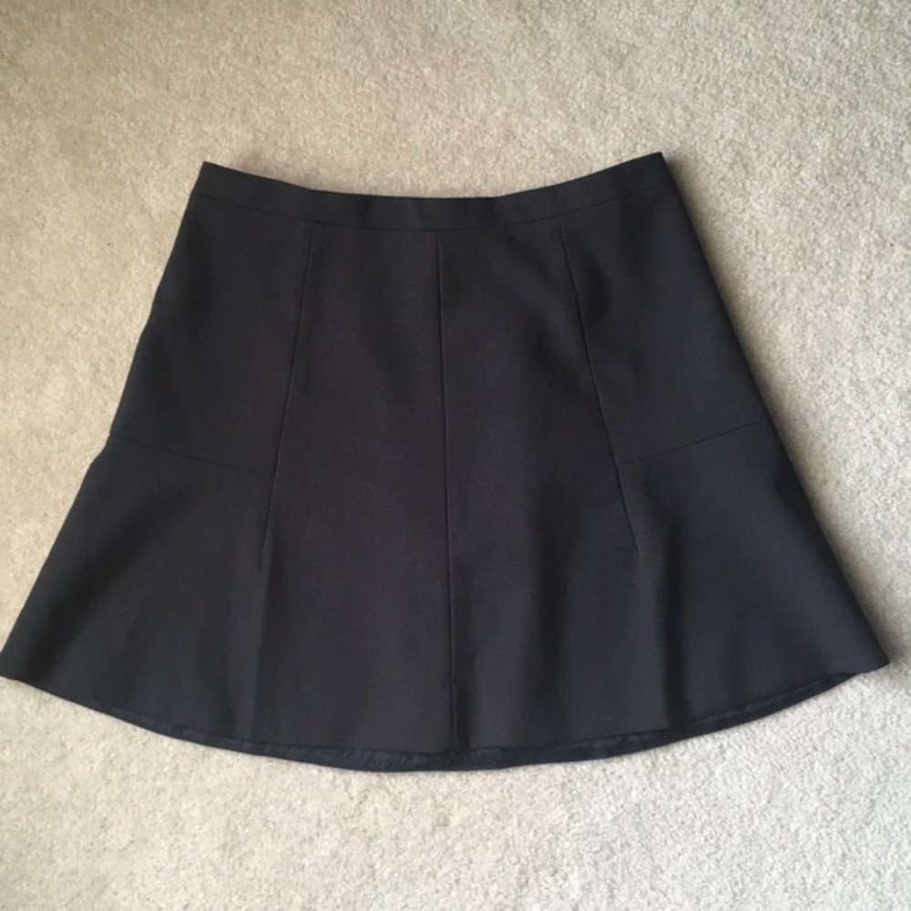 J. Crew Skirt
